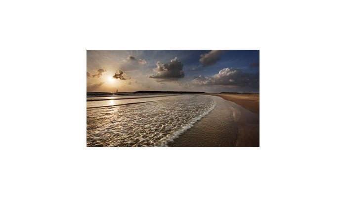 Poza pentru Hotel The Ritz-carlton 919-1487939328 Hotel The Ritz-carlton poza 6