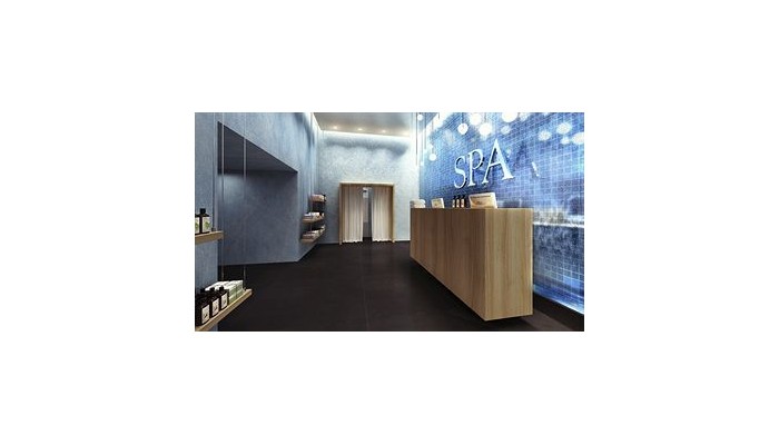 Poza pentru Hotel The Ritz-carlton 984-1487939329 Hotel The Ritz-carlton poza 7