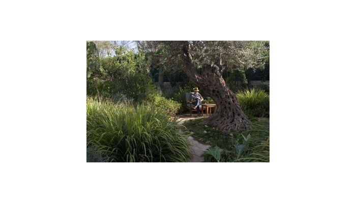 Poza pentru Hotel American Colony 417-1487939395 Hotel American Colony poza 2