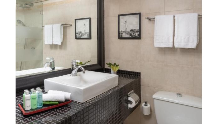 Herods Hotel Tel Aviv poza 8